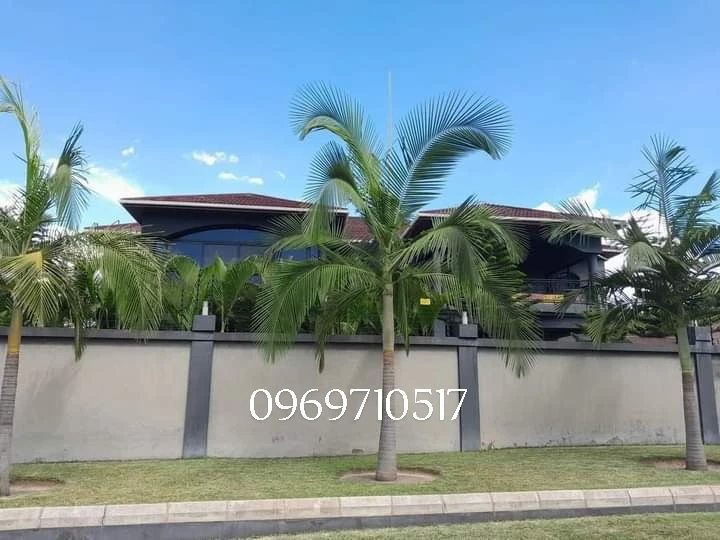 THREE BEDROOMS DUPLEX HOUSE FOR RENT IN OLYMPIA EXTENSION