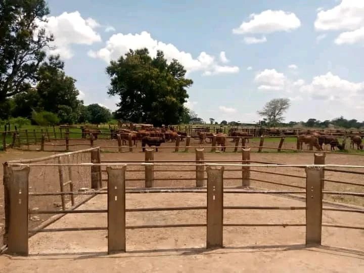 FULLY FUNCTIONAL FARM FOR SALE 