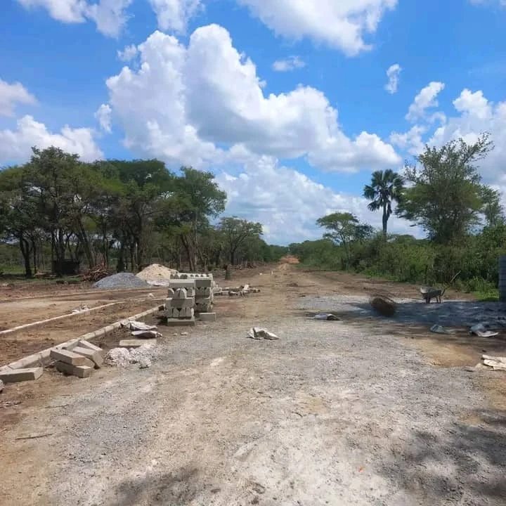 DIFFERENT SIZED LAND FOR SALE IN SILVEREST